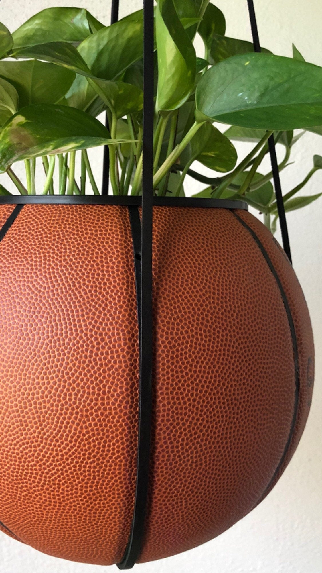 Leather hanging set for Plantsketball