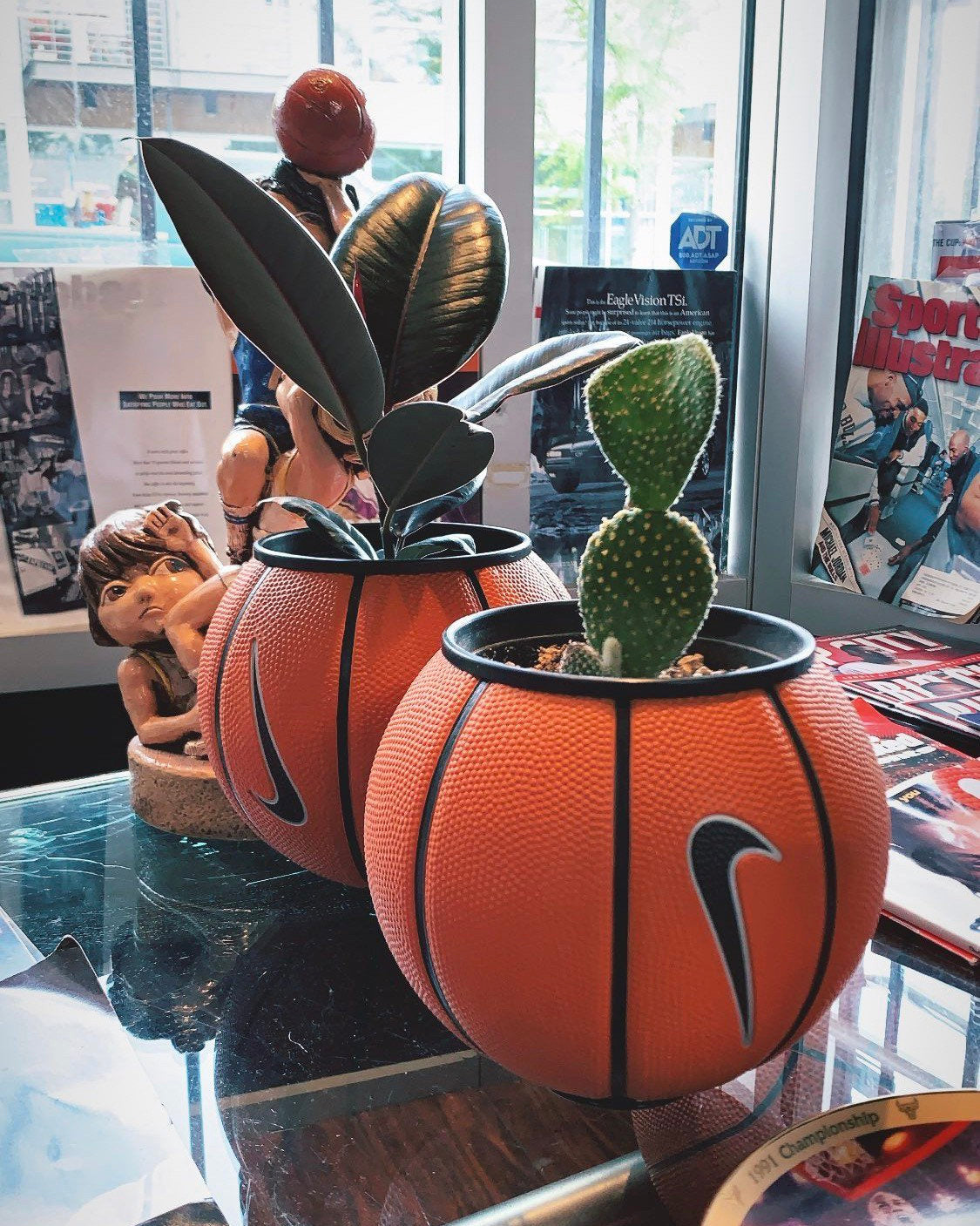 basketball plant hanger Mini Plantsketball Classic