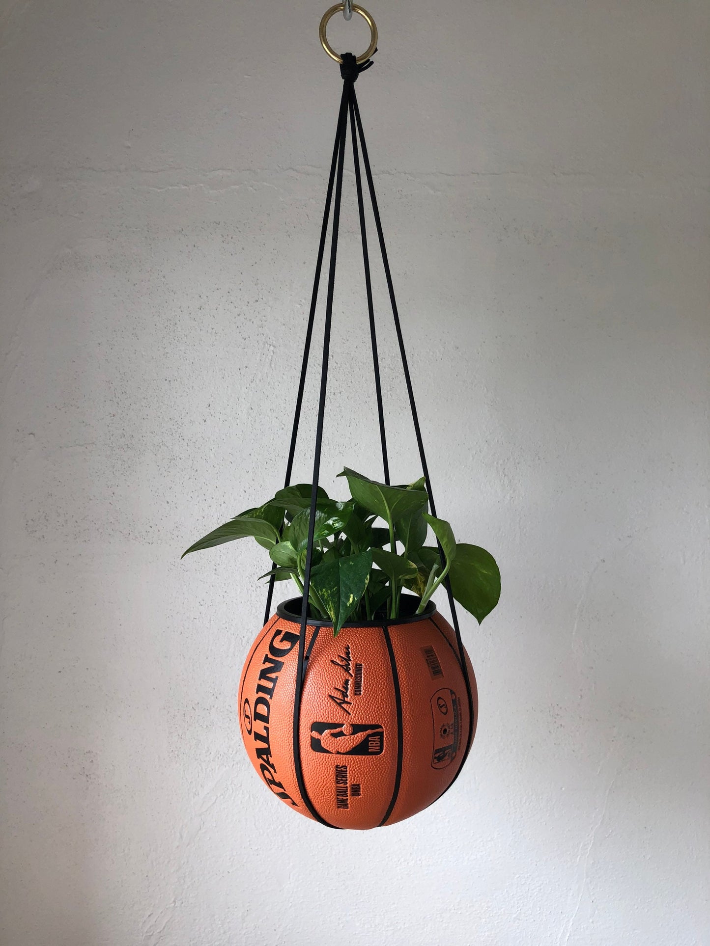 Atlanta Hawks Plantsketball