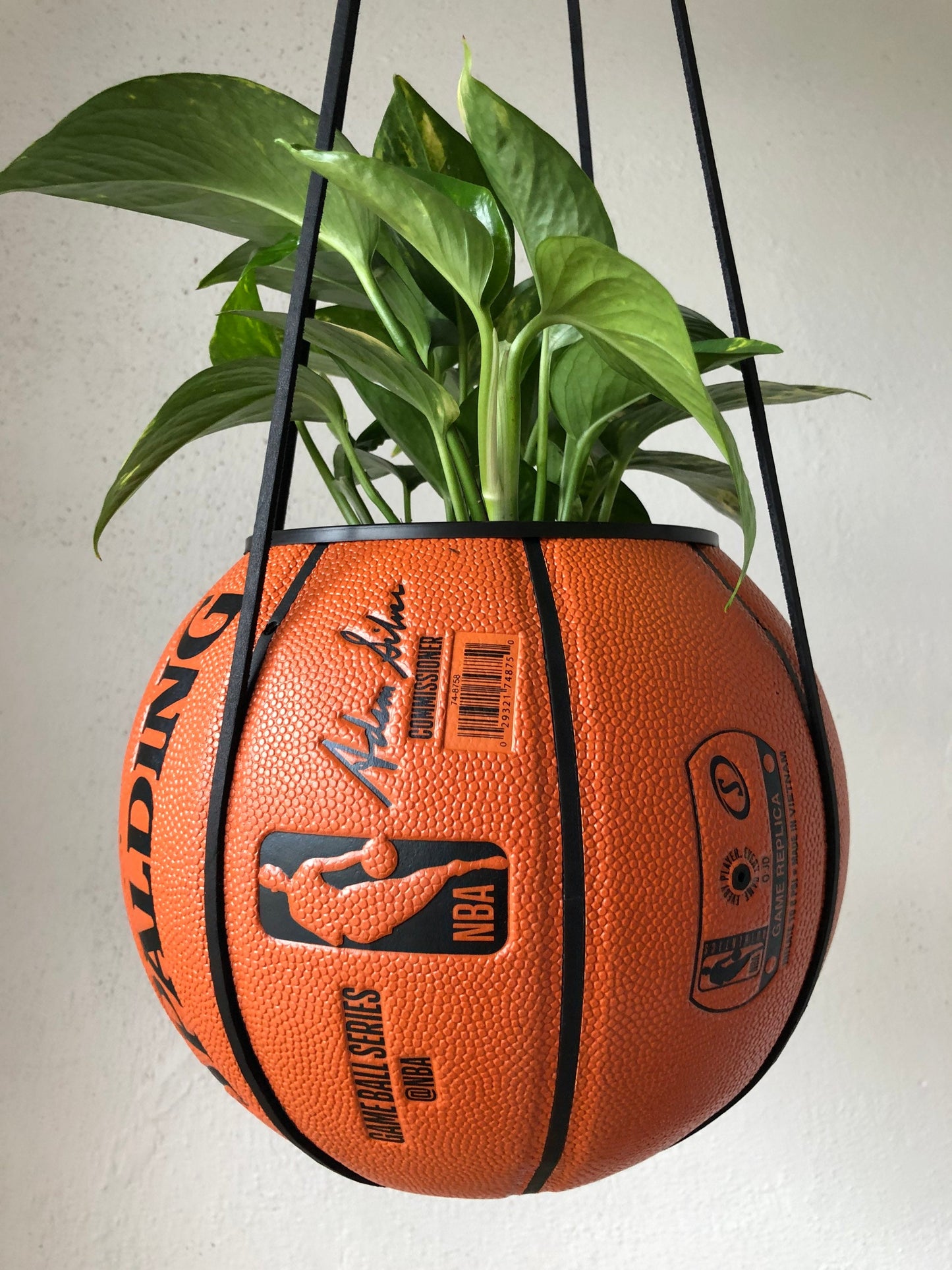 Atlanta Hawks Plantsketball