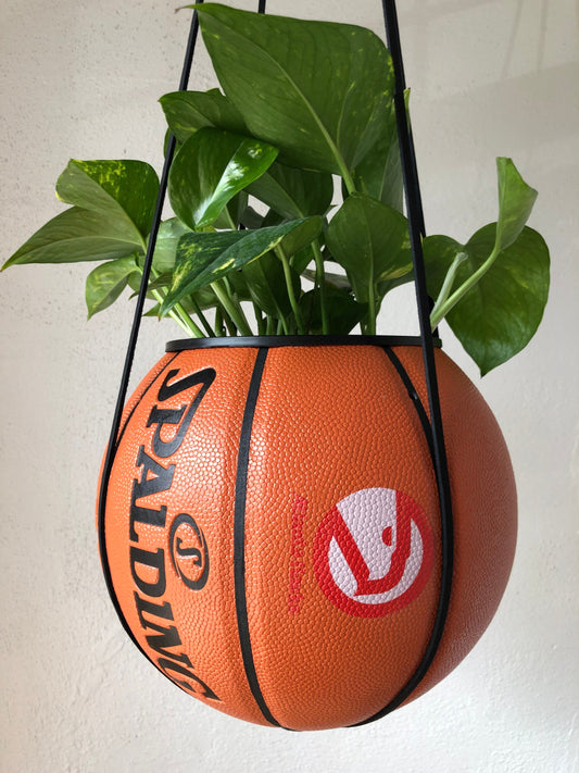 Atlanta Hawks Plantsketball