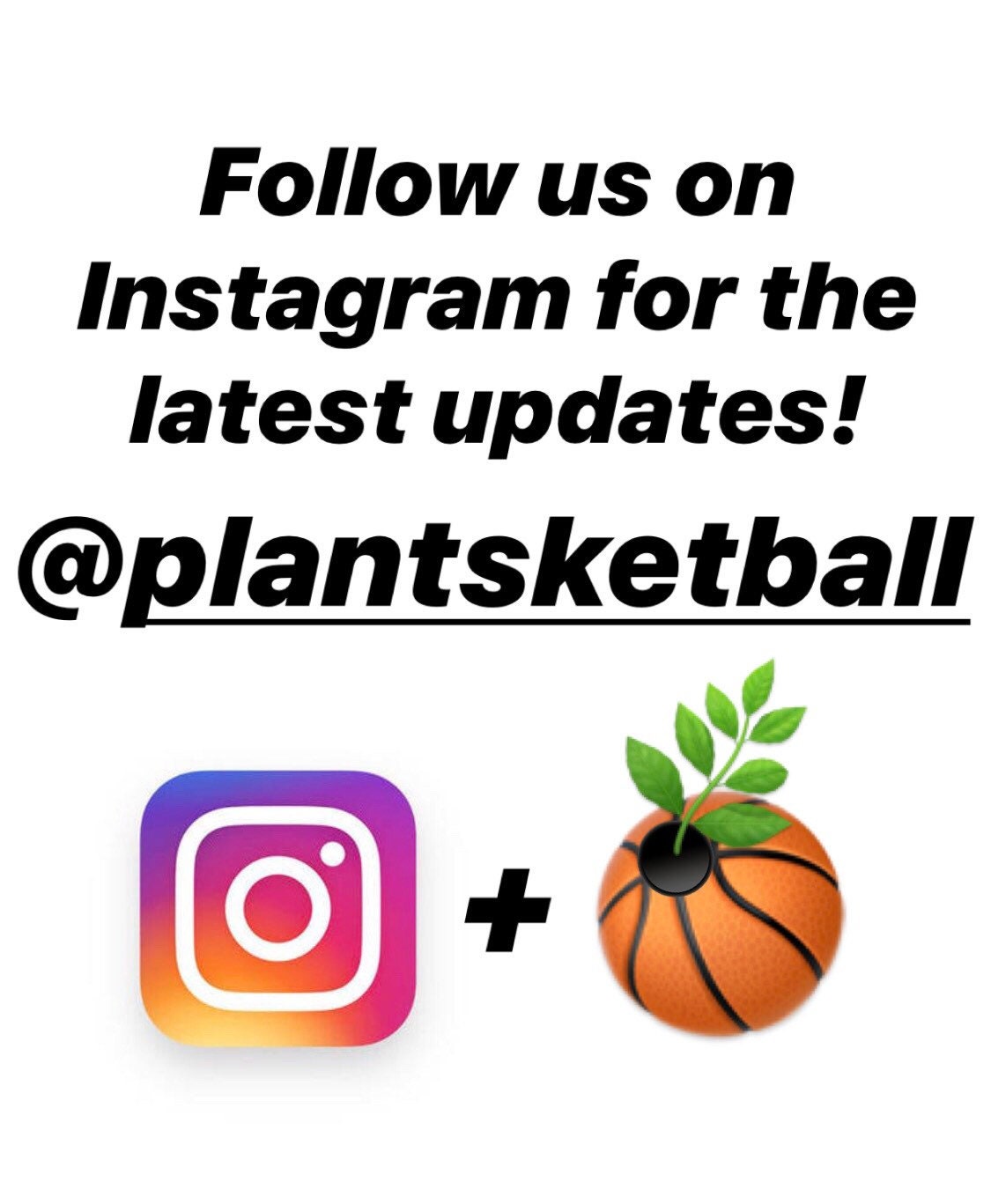 Atlanta Hawks Plantsketball