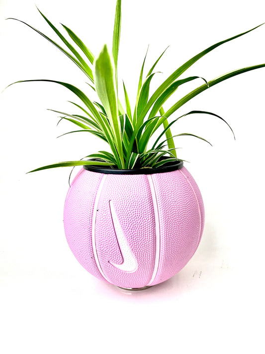 Pink Mini