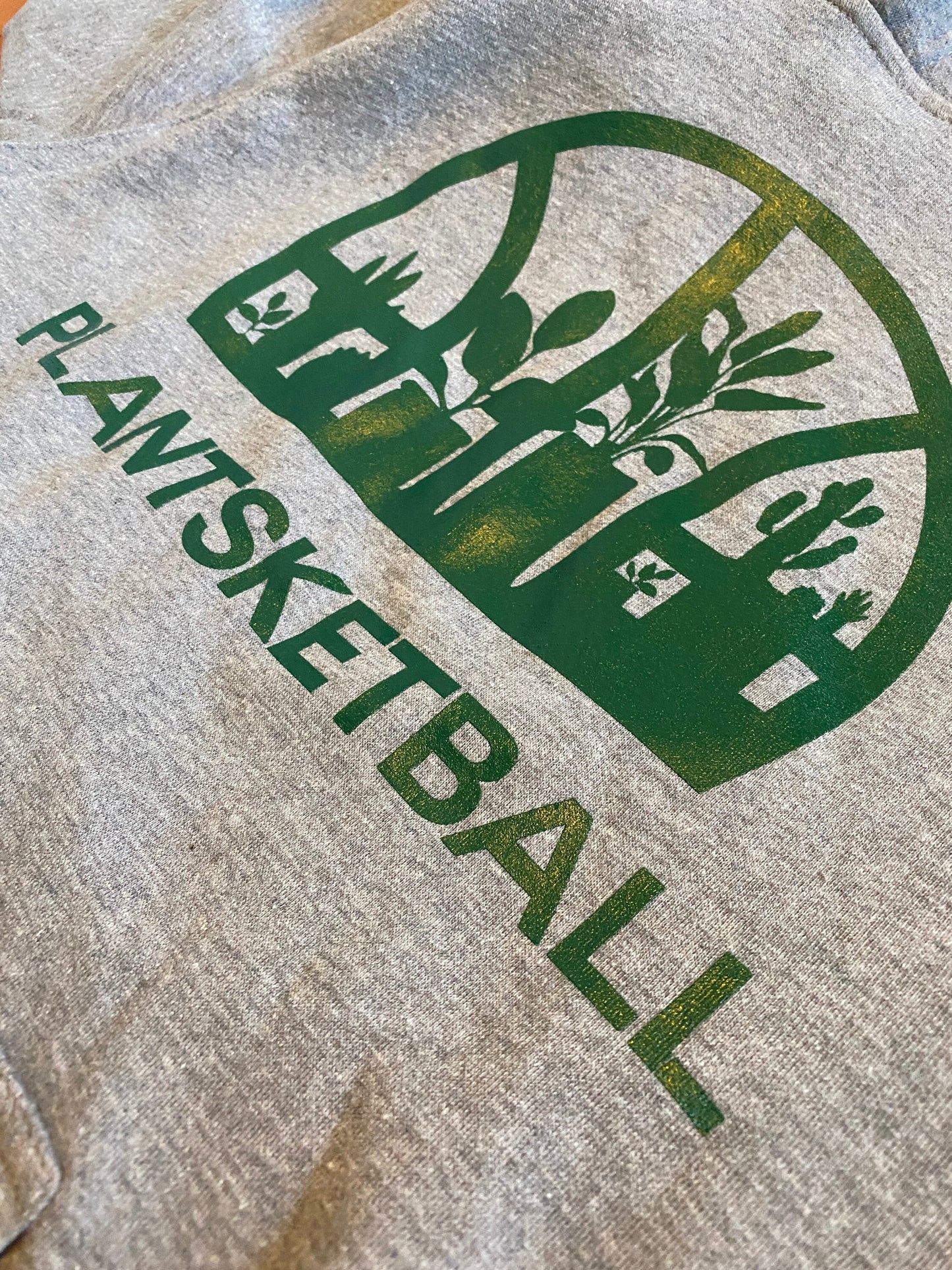Plantsketball Window Logo Hoodie