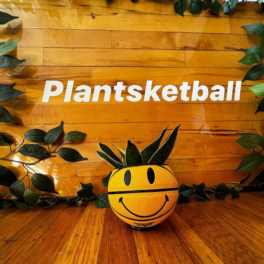 Baby Basketball Planter